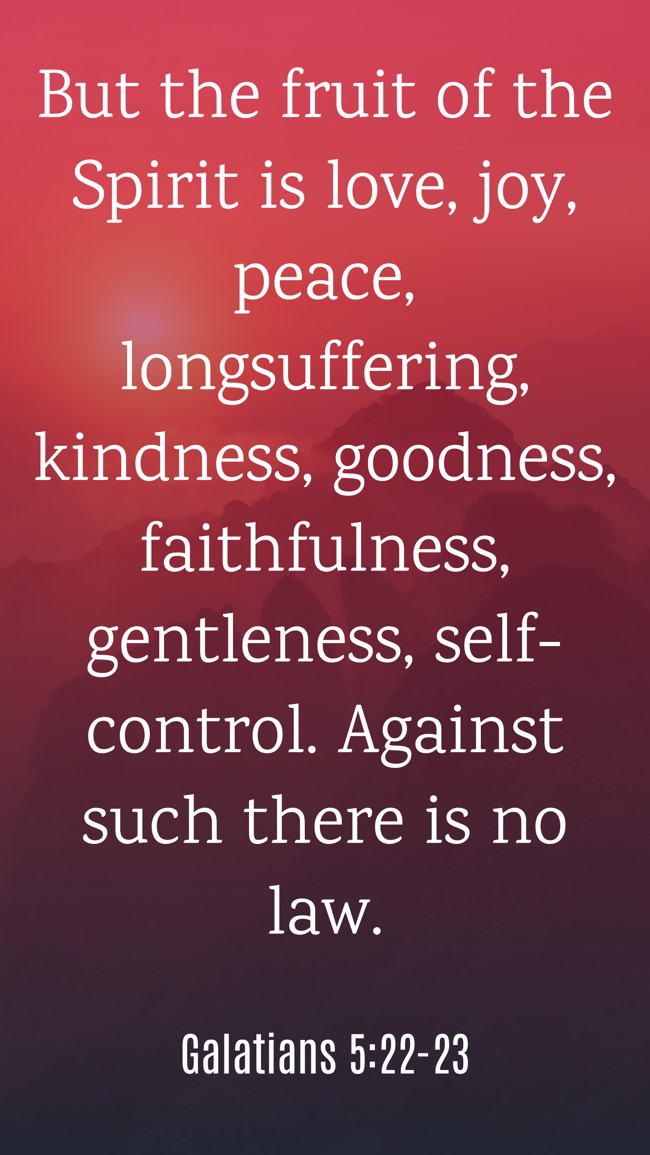 But the fruit of the Spirit is love, joy, peace, longsuffering, kindness, goodness, faithfulness, gentleness, self-control. Against such there is no law. - Galatians 5:22-23