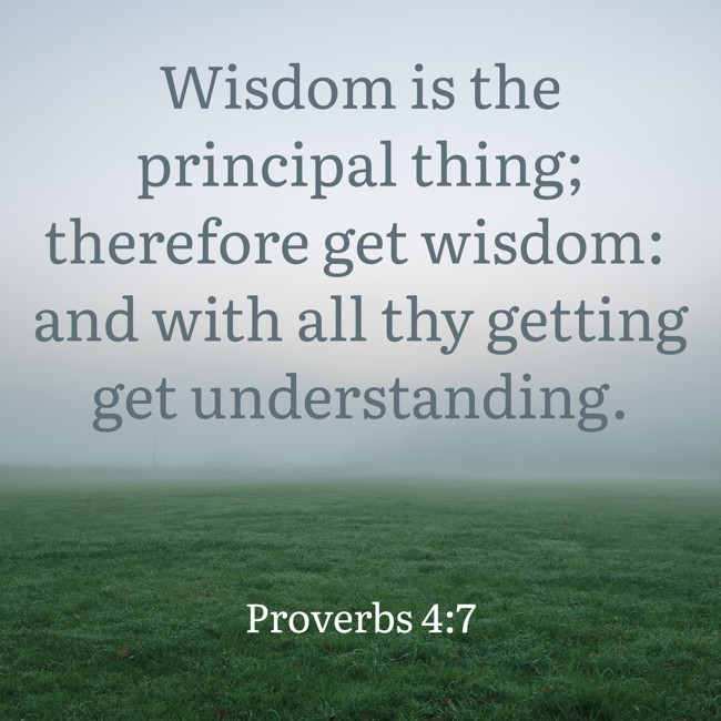 Wisdom is the principal thing; therefore get wisdom: and with all thy getting get understanding. - Proverbs 4:7