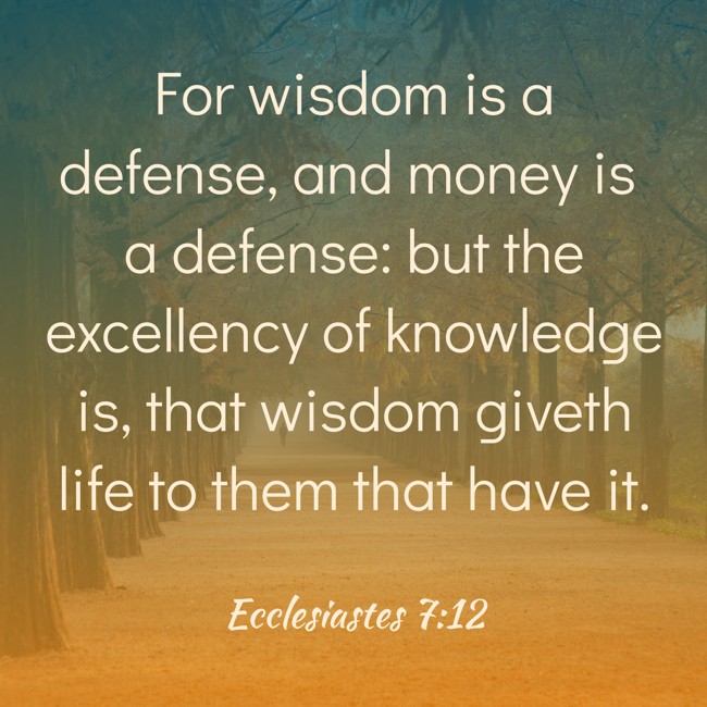 For wisdom is a defense, and money is a defense: but the excellency of knowledge is, that wisdom giveth life to them that have it. - Ecclesiastes 7:12