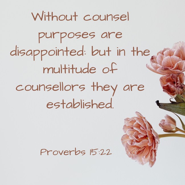 Without counsel purposes are disappointed: but in the multitude of counsellors they are established. - Proverbs 15:22