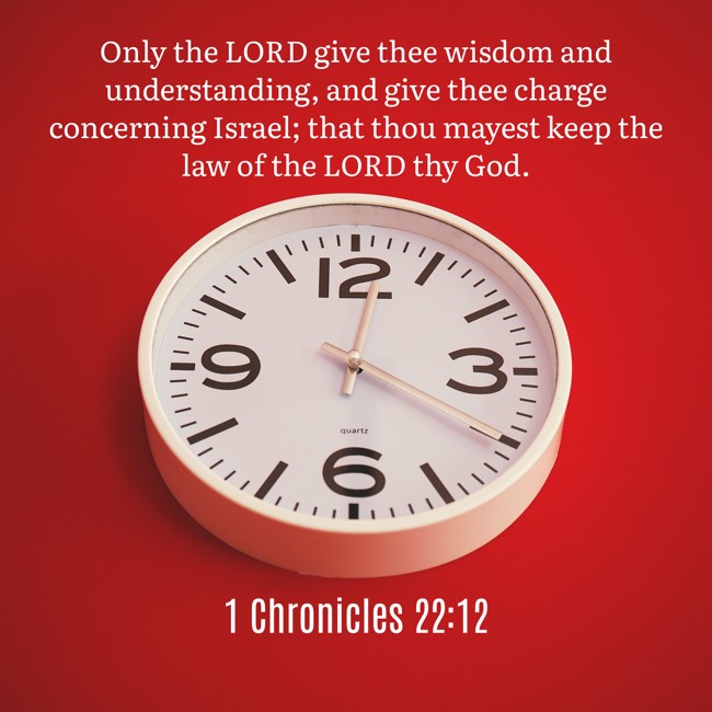Only the LORD give thee wisdom and understanding, and give thee charge concerning Israel; that thou mayest keep the law of the LORD thy God. - 1 Chronicles 22:12