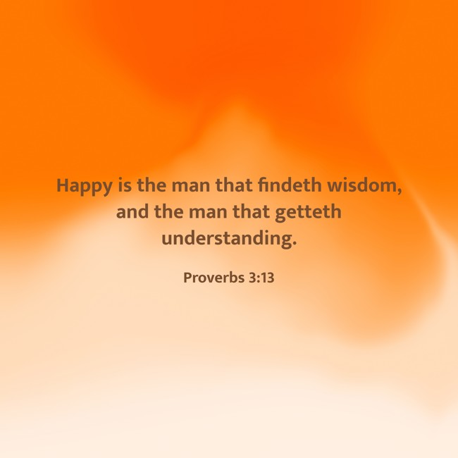 Happy is the man that findeth wisdom, and the man that getteth understanding. - Proverbs 3:13