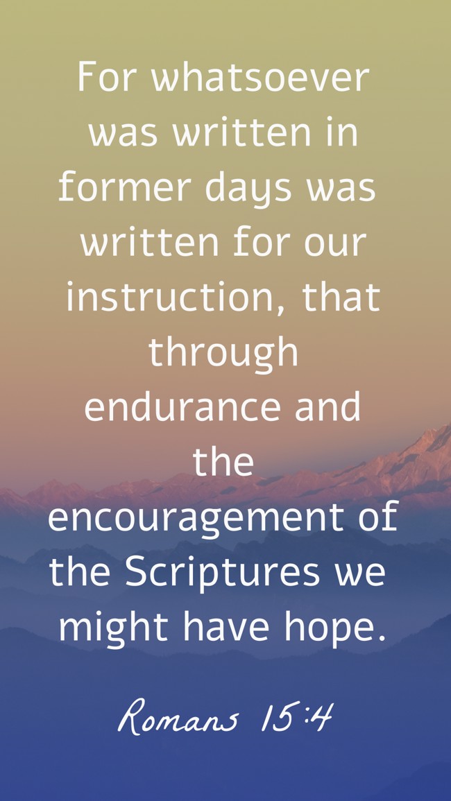 For whatsoever was written in former days was written for our instruction, that through endurance and the encouragement of the Scriptures we might have hope. - Romans 15:4