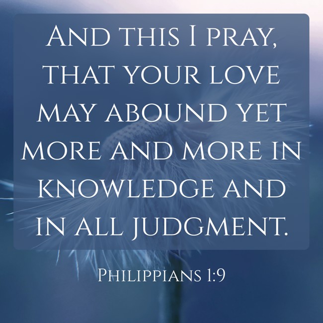 And this I pray, that your love may abound yet more and more in knowledge and in all judgment. - Philippians 1:9