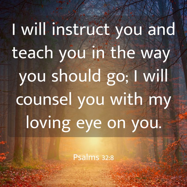 I will instruct you and teach you in the way you should go; I will counsel you with my loving eye on you. - Psalms 32:8