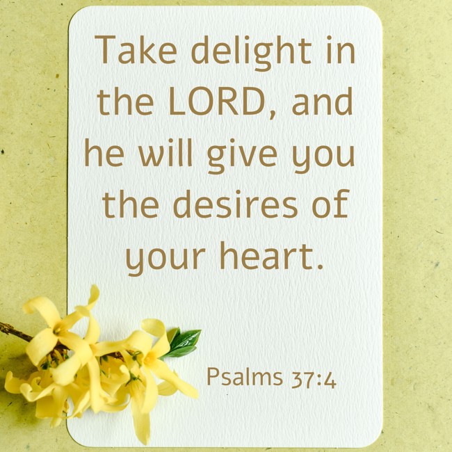 Take delight in the LORD, and he will give you the desires of your heart. - Psalms 37:4