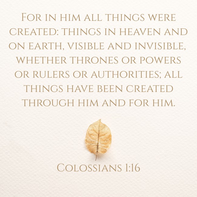 For in him all things were created: things in heaven and on earth, visible and invisible, whether thrones or powers or rulers or authorities; all things have been created through him and for him. - Colossians 1:16