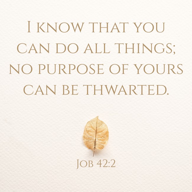 I know that you can do all things; no purpose of yours can be thwarted. - Job 42:2