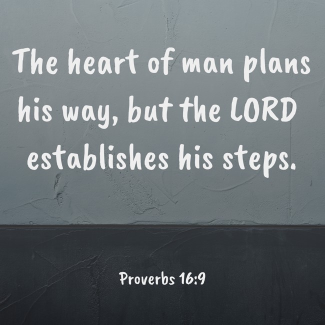 The heart of man plans his way, but the LORD establishes his steps. - Proverbs 16:9