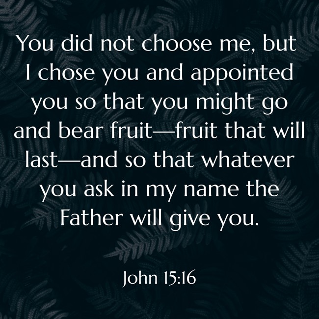 You did not choose me, but I chose you and appointed you so that you might go and bear fruit—fruit that will last—and so that whatever you ask in my name the Father will give you. - John 15:16