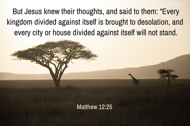 But Jesus knew their thoughts, and said to them: “Every kingdom divided against itself is brought to desolation, and every city or house divided against itself will not stand. - Matthew 12:25