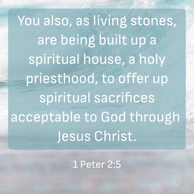 You also, as living stones, are being built up a spiritual house, a holy priesthood, to offer up spiritual sacrifices acceptable to God through Jesus Christ. - 1 Peter 2:5