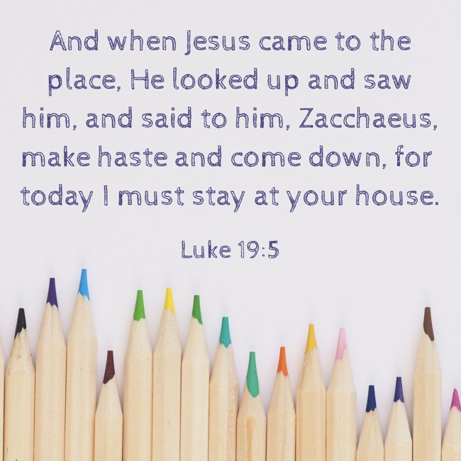 And when Jesus came to the place, He looked up and saw him, and said to him, Zacchaeus, make haste and come down, for today I must stay at your house. - Luke 19:5