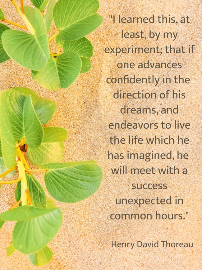 I learned this, at least, by my experiment; that if one advances confidently in the direction of his dreams, and endeavors to live the life which he has imagined, he will meet with a success unexpected in common hours. - Henry David Thoreau