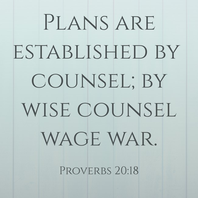 Plans are established by counsel; by wise counsel wage war. - Proverbs 20:18