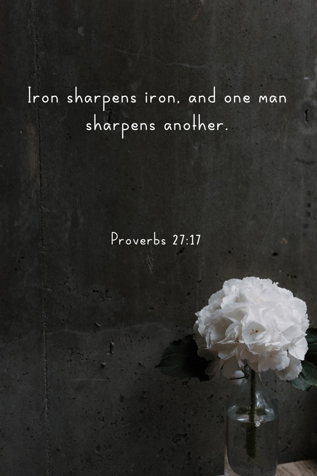 Iron sharpens iron, and one man sharpens another. - Proverbs 27:17