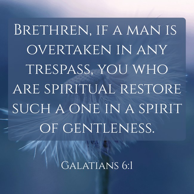 Brethren, if a man is overtaken in any trespass, you who are spiritual restore such a one in a spirit of gentleness. - Galatians 6:1