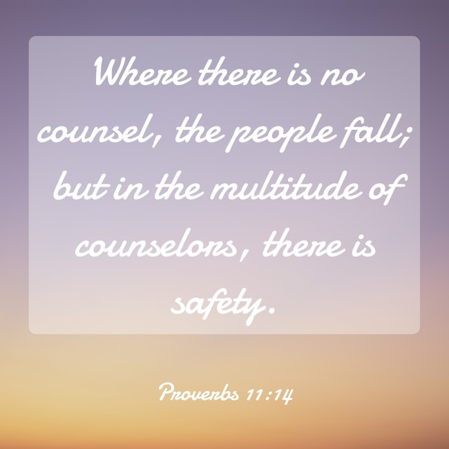 Where there is no counsel, the people fall; but in the multitude of counselors, there is safety. - Proverbs 11:14