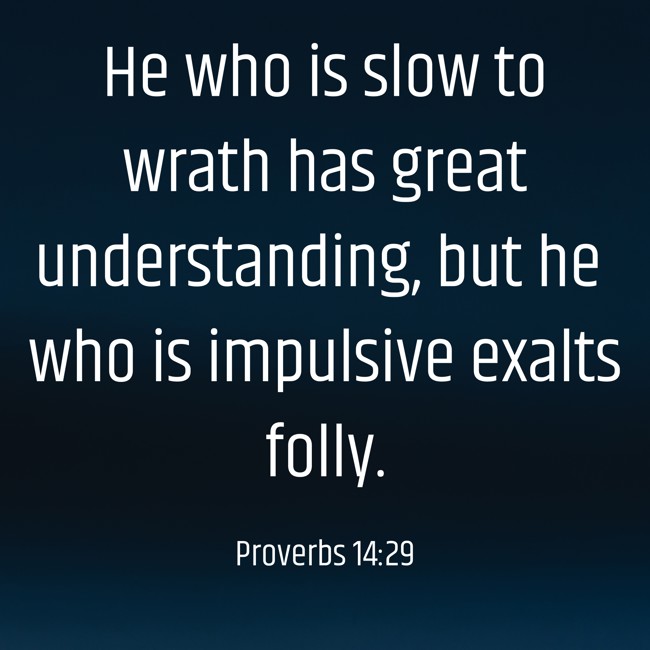 He who is slow to wrath has great understanding, but he who is impulsive exalts folly. - Proverbs 14:29