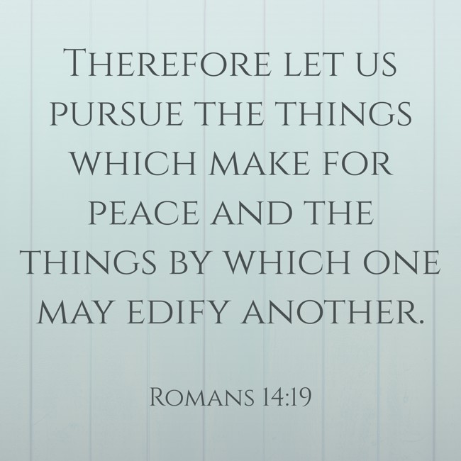 Therefore let us pursue the things which make for peace and the things by which one may edify another. - Romans 14:19