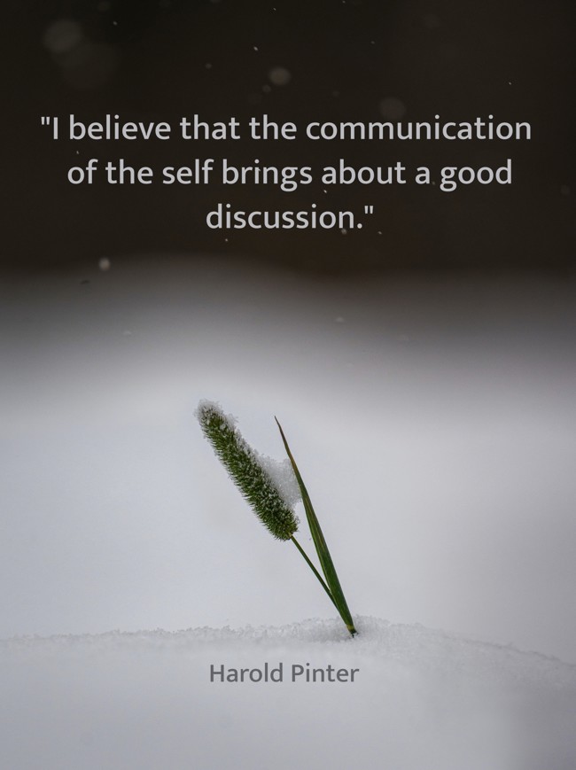 I believe that the communication of the self brings about a good discussion. - Harold Pinter