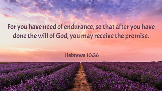 For you have need of endurance, so that after you have done the will of God, you may receive the promise. - Hebrews 10:36