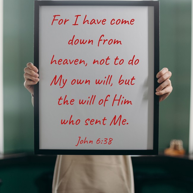 For I have come down from heaven, not to do My own will, but the will of Him who sent Me. - John 6:38