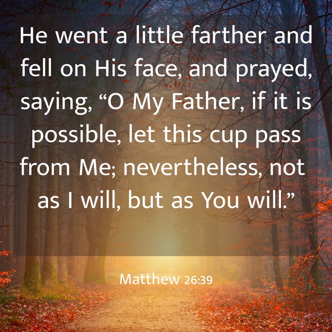 He went a little farther and fell on His face, and prayed, saying, “O My Father, if it is possible, let this cup pass from Me; nevertheless, not as I will, but as You will.” - Matthew 26:39