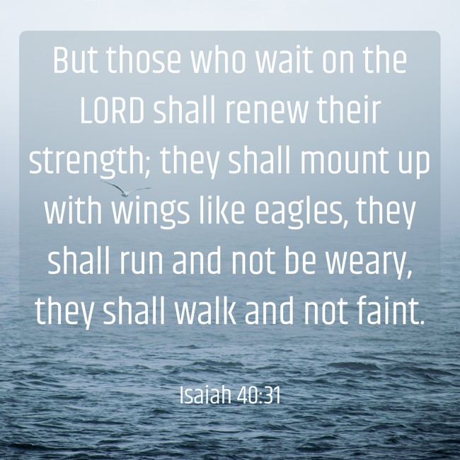 But those who wait on the LORD shall renew their strength; they shall mount up with wings like eagles, they shall run and not be weary, they shall walk and not faint. - Isaiah 40:31