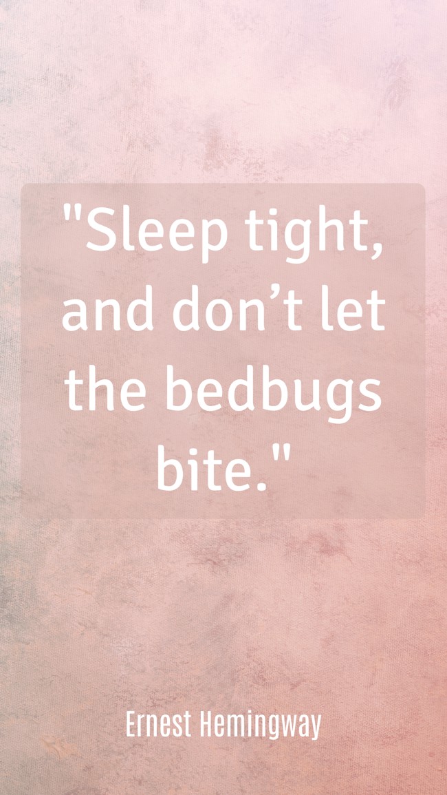 Sleep tight, and don’t let the bedbugs bite. - Ernest Hemingway