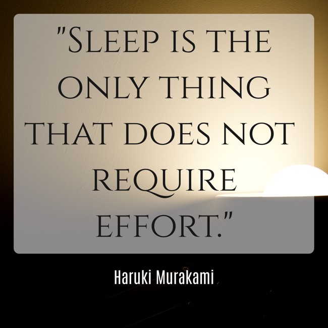 Sleep is the only thing that does not require effort. - Haruki Murakami