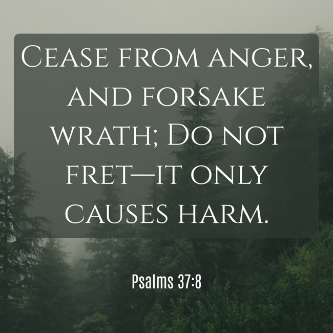 Cease from anger, and forsake wrath; Do not fret—it only causes harm. - Psalms 37:8