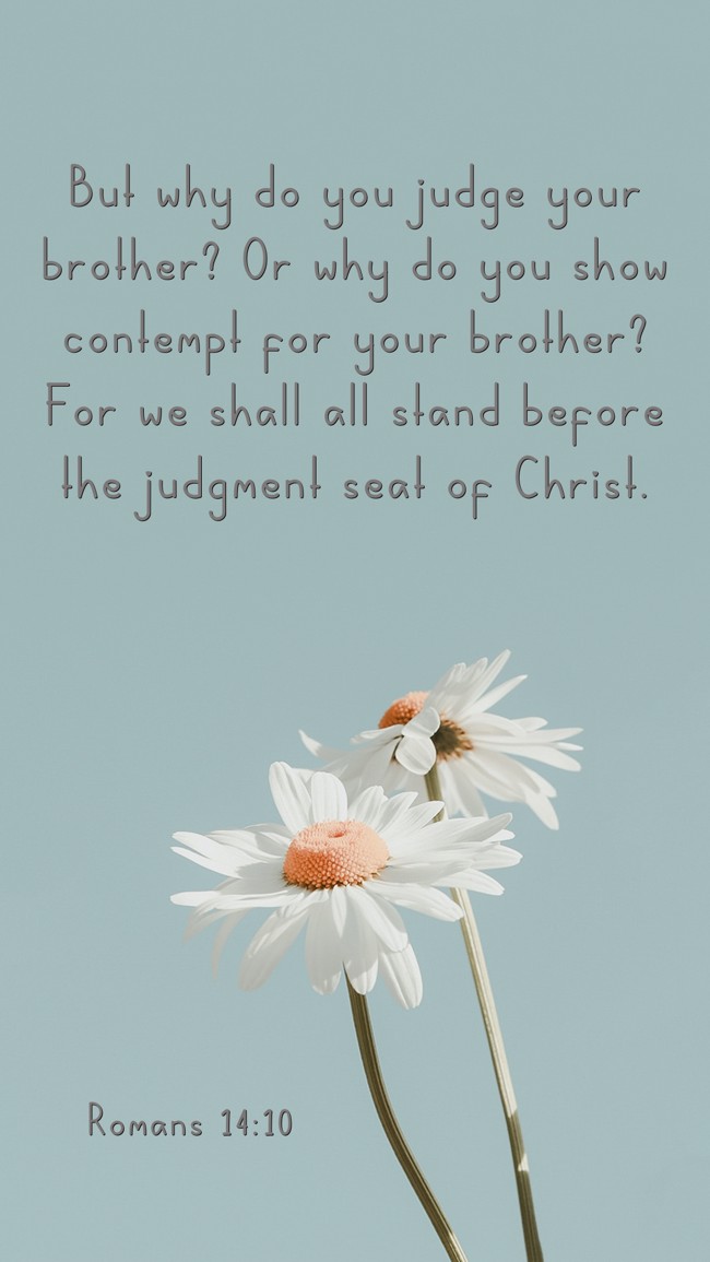 But why do you judge your brother? Or why do you show contempt for your brother? For we shall all stand before the judgment seat of Christ. - Romans 14:10
