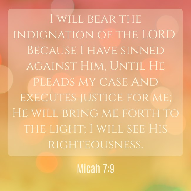 I will bear the indignation of the LORD Because I have sinned against Him, Until He pleads my case And executes justice for me; He will bring me forth to the light; I will see His righteousness. - Micah 7:9