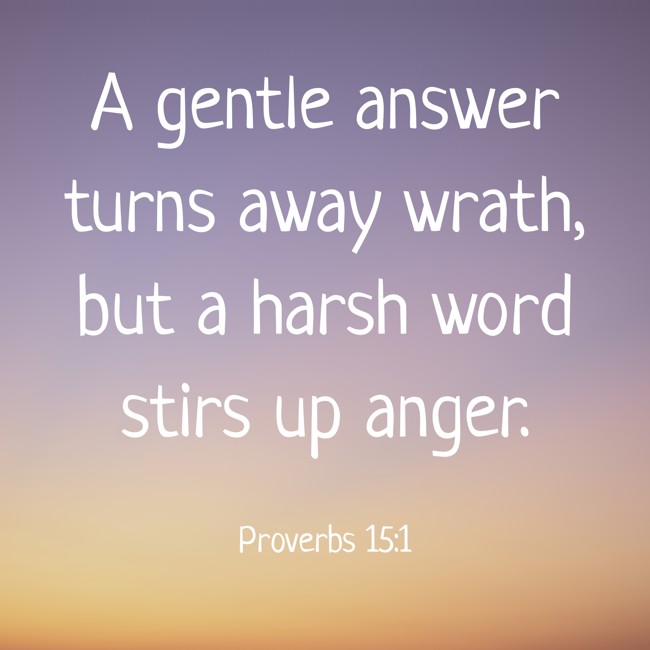 A gentle answer turns away wrath, but a harsh word stirs up anger. - Proverbs 15:1
