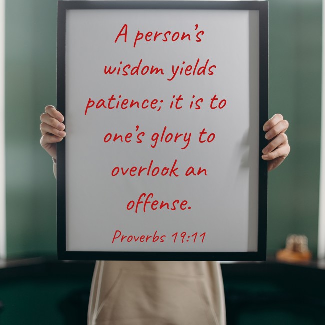 A person’s wisdom yields patience; it is to one’s glory to overlook an offense. - Proverbs 19:11