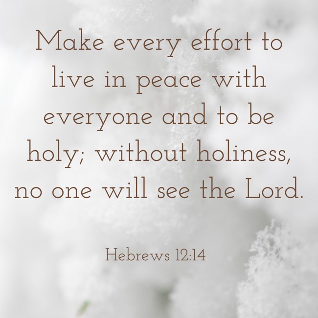 Make every effort to live in peace with everyone and to be holy; without holiness, no one will see the Lord. - Hebrews 12:14