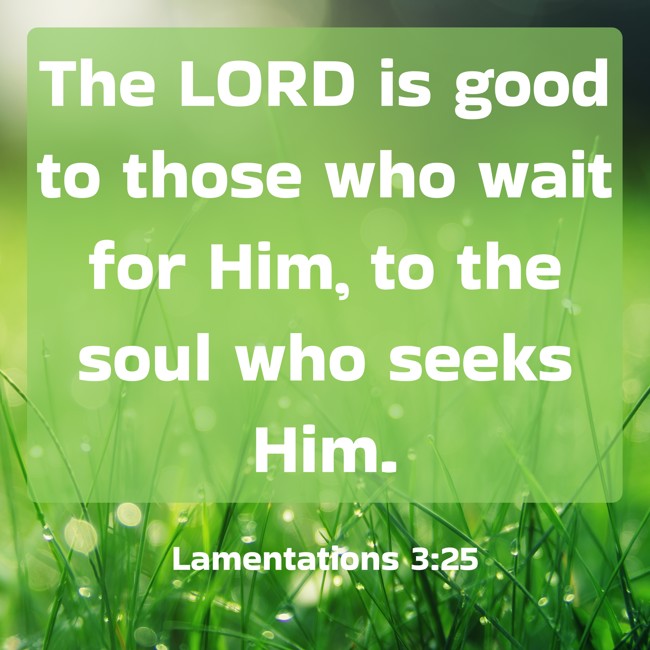 The LORD is good to those who wait for Him, to the soul who seeks Him. - Lamentations 3:25