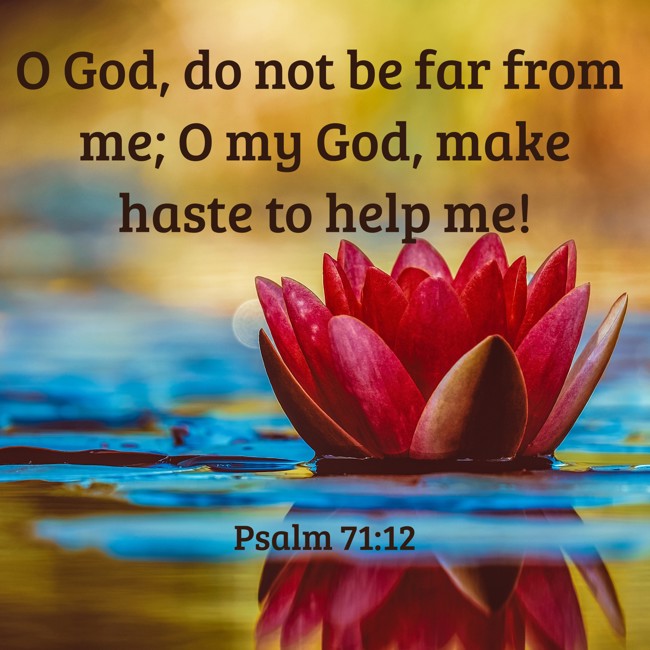 O God, do not be far from me; O my God, make haste to help me! - Psalm 71:12