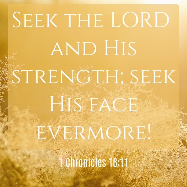 Seek the LORD and His strength; seek His face evermore! - 1 Chronicles 16:11