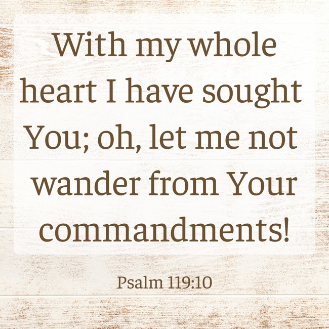 With my whole heart I have sought You; oh, let me not wander from Your commandments! - Psalm 119:10