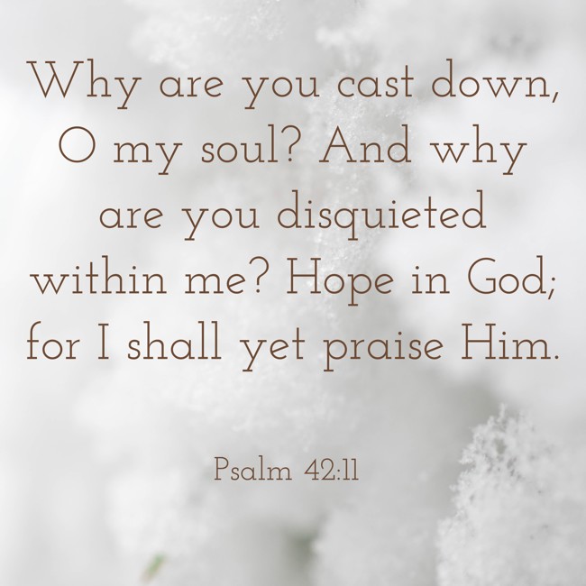 Why are you cast down, O my soul? And why are you disquieted within me? Hope in God; for I shall yet praise Him. - Psalm 42:11