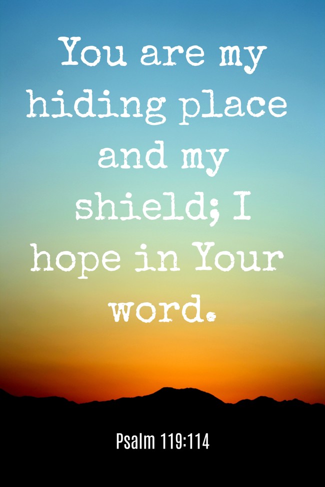 You are my hiding place and my shield; I hope in Your word. - Psalm 119:114