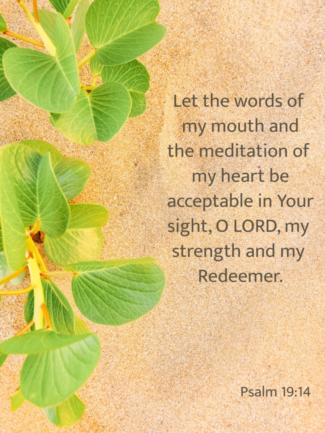 Let the words of my mouth and the meditation of my heart be acceptable in Your sight, O LORD, my strength and my Redeemer. - Psalm 19:14