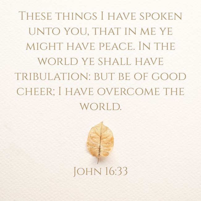 These things I have spoken unto you, that in me ye might have peace. In the world ye shall have tribulation: but be of good cheer; I have overcome the world. - John 16:33