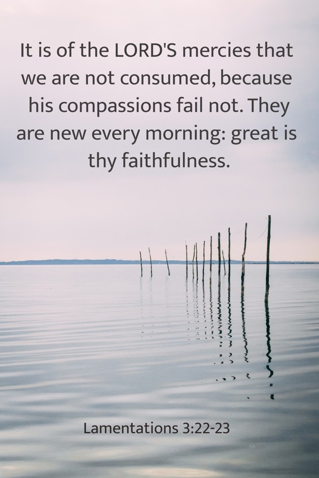 It is of the LORD'S mercies that we are not consumed, because his compassions fail not. They are new every morning: great is thy faithfulness. - Lamentations 3:22-23