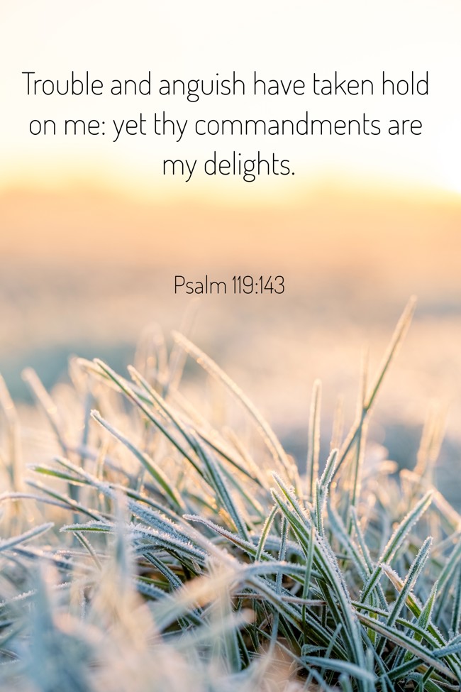 Trouble and anguish have taken hold on me: yet thy commandments are my delights. - Psalm 119:143