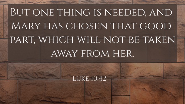 But one thing is needed, and Mary has chosen that good part, which will not be taken away from her. - Luke 10:42