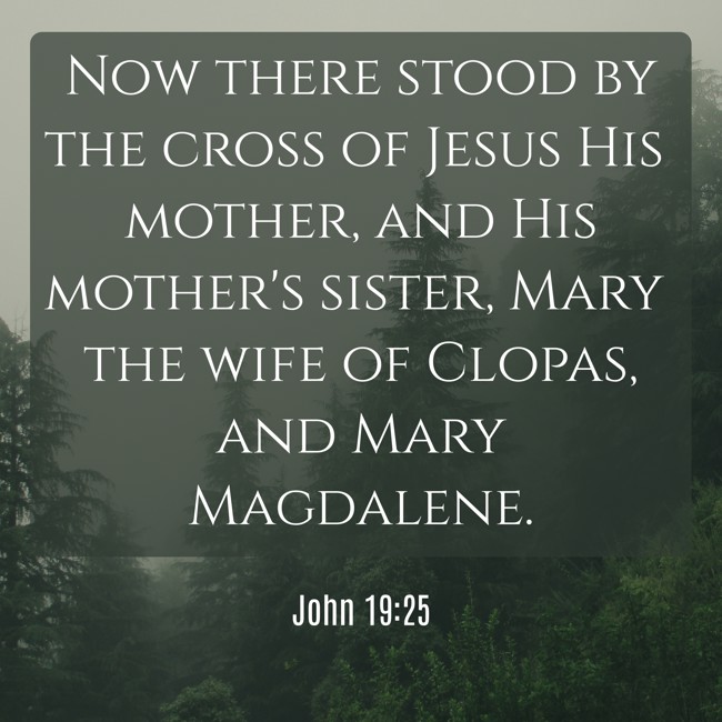 Now there stood by the cross of Jesus His mother, and His mother's sister, Mary the wife of Clopas, and Mary Magdalene. - John 19:25
