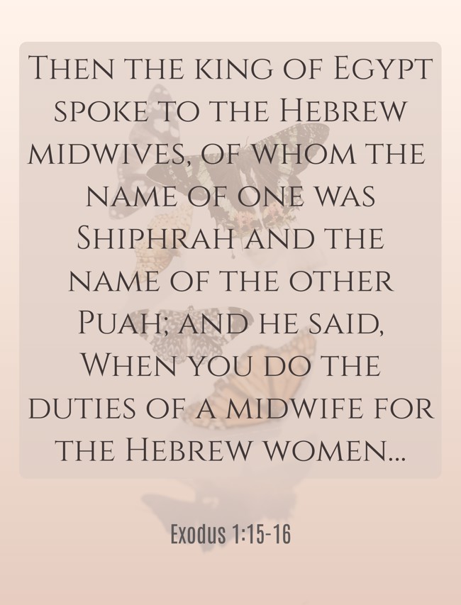 Then the king of Egypt spoke to the Hebrew midwives, of whom the name of one was Shiphrah and the name of the other Puah; and he said, When you do the duties of a midwife for the Hebrew women… - Exodus 1:15-16